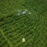 2 - T70P - Imagen 2